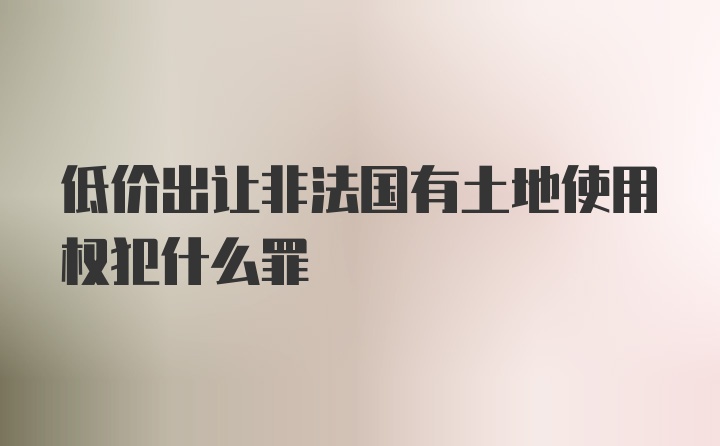 低价出让非法国有土地使用权犯什么罪