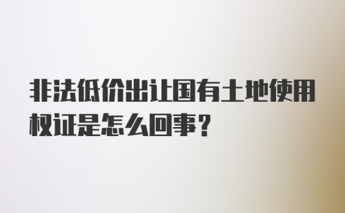 非法低价出让国有土地使用权证是怎么回事？