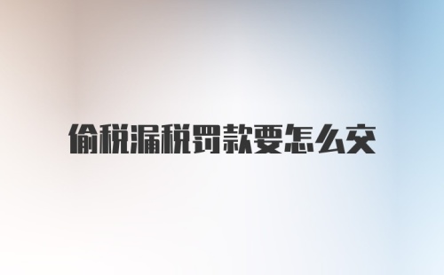 偷税漏税罚款要怎么交