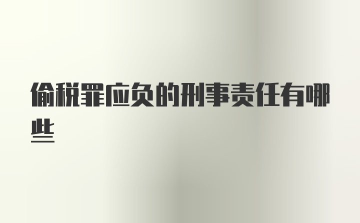 偷税罪应负的刑事责任有哪些