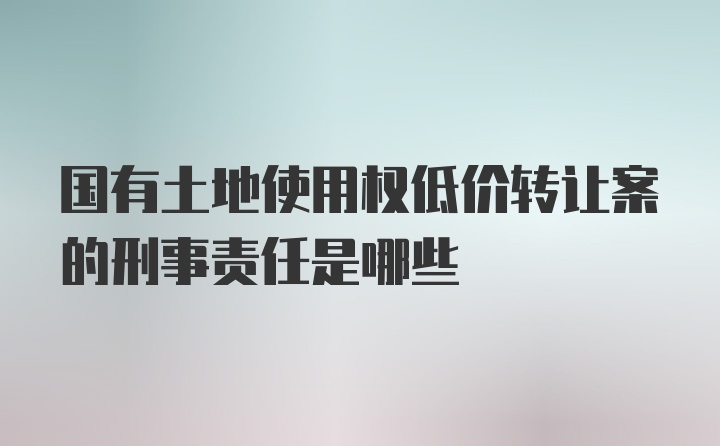 国有土地使用权低价转让案的刑事责任是哪些