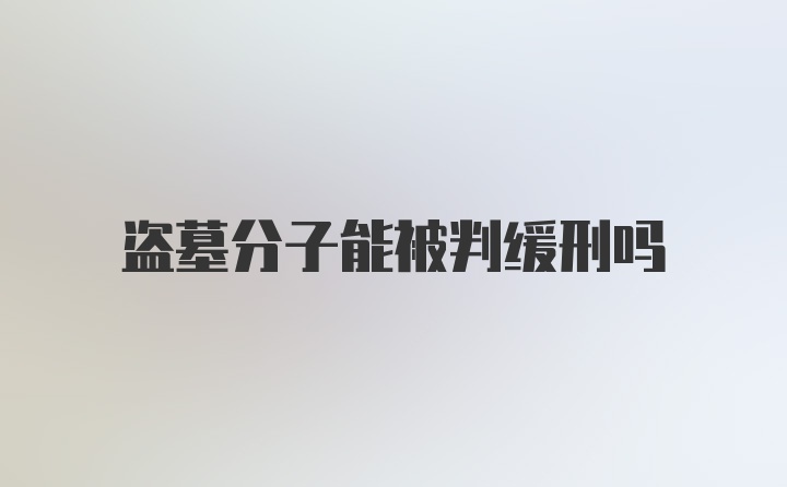 盗墓分子能被判缓刑吗