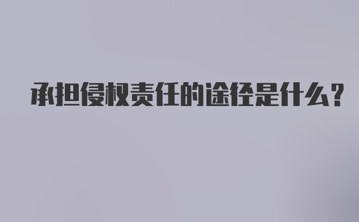 承担侵权责任的途径是什么？