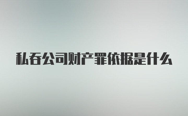 私吞公司财产罪依据是什么