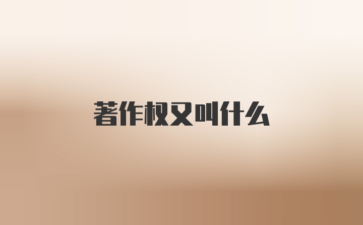 著作权又叫什么