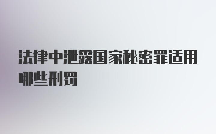 法律中泄露国家秘密罪适用哪些刑罚