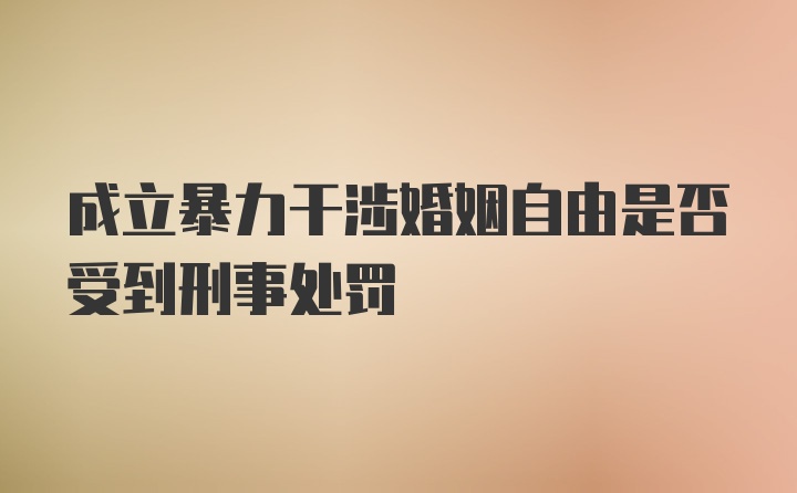 成立暴力干涉婚姻自由是否受到刑事处罚