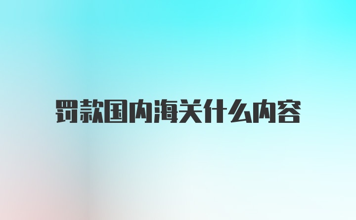 罚款国内海关什么内容