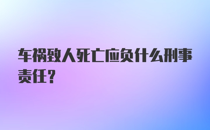 车祸致人死亡应负什么刑事责任？