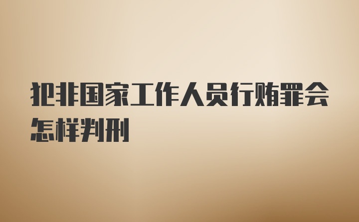 犯非国家工作人员行贿罪会怎样判刑