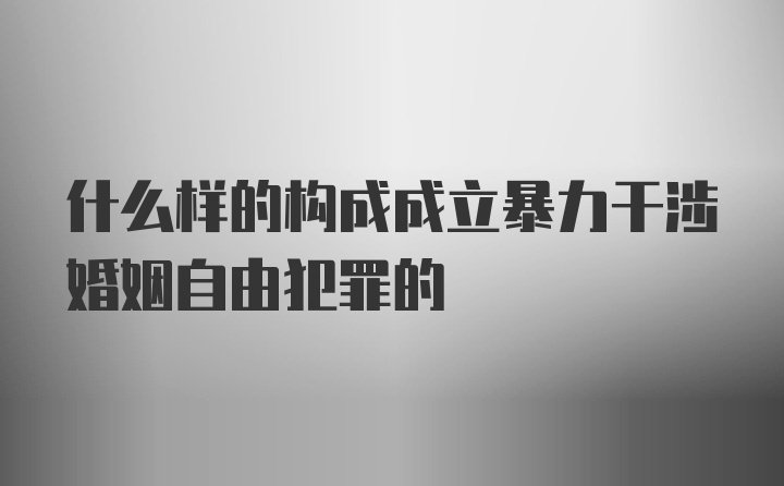 什么样的构成成立暴力干涉婚姻自由犯罪的