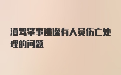 酒驾肇事逃逸有人员伤亡处理的问题