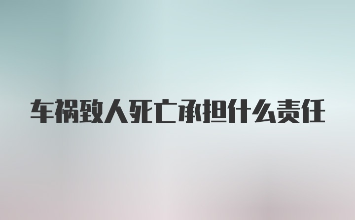 车祸致人死亡承担什么责任