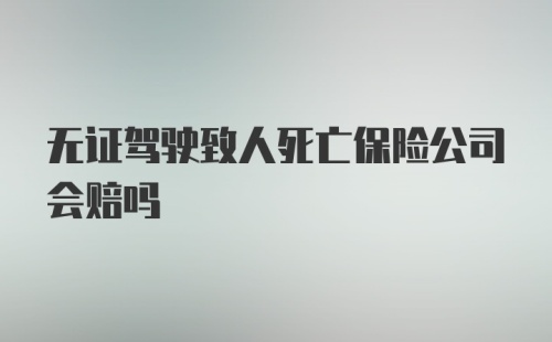 无证驾驶致人死亡保险公司会赔吗