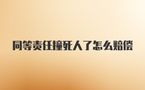 同等责任撞死人了怎么赔偿