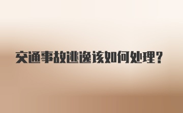 交通事故逃逸该如何处理？