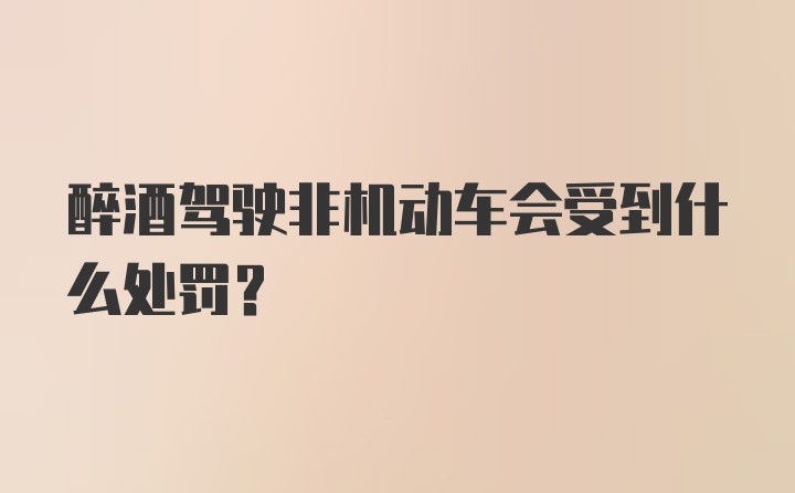 醉酒驾驶非机动车会受到什么处罚？