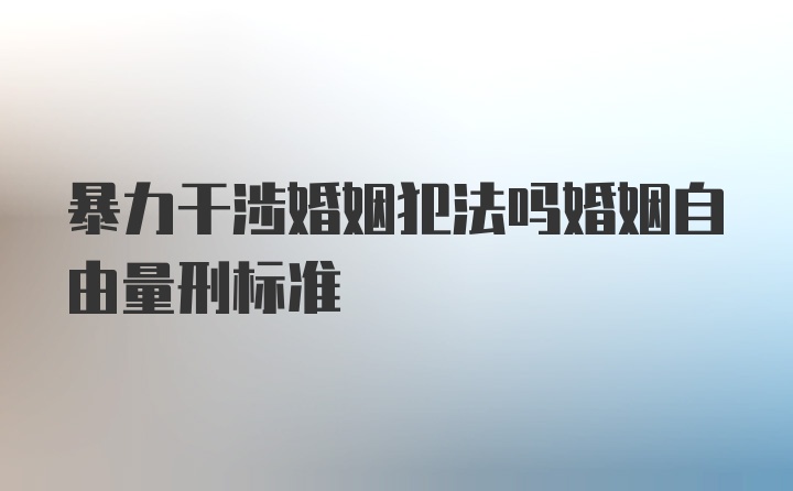 暴力干涉婚姻犯法吗婚姻自由量刑标准