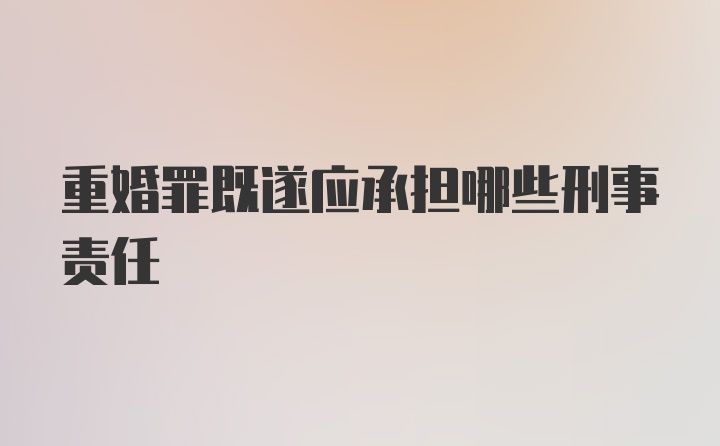 重婚罪既遂应承担哪些刑事责任