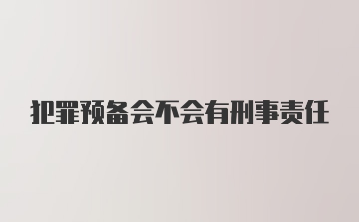 犯罪预备会不会有刑事责任