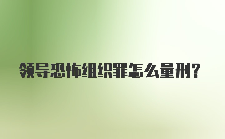 领导恐怖组织罪怎么量刑？