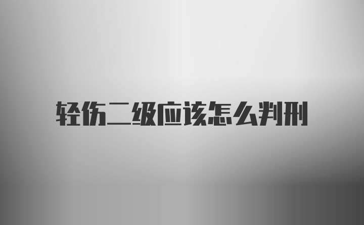 轻伤二级应该怎么判刑