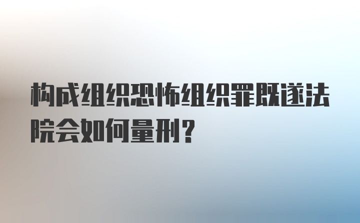 构成组织恐怖组织罪既遂法院会如何量刑?