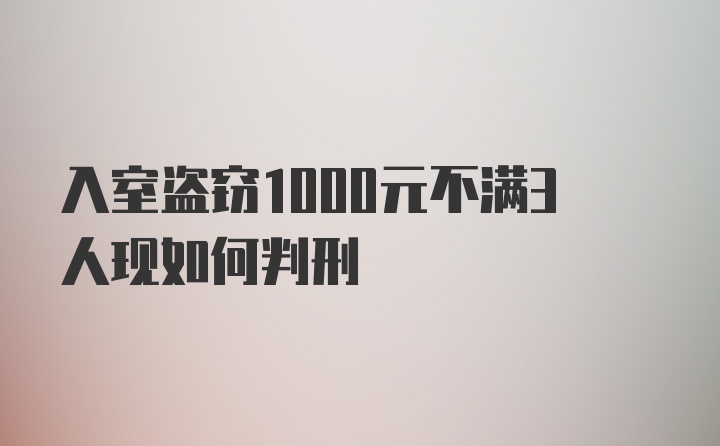 入室盗窃1000元不满3人现如何判刑