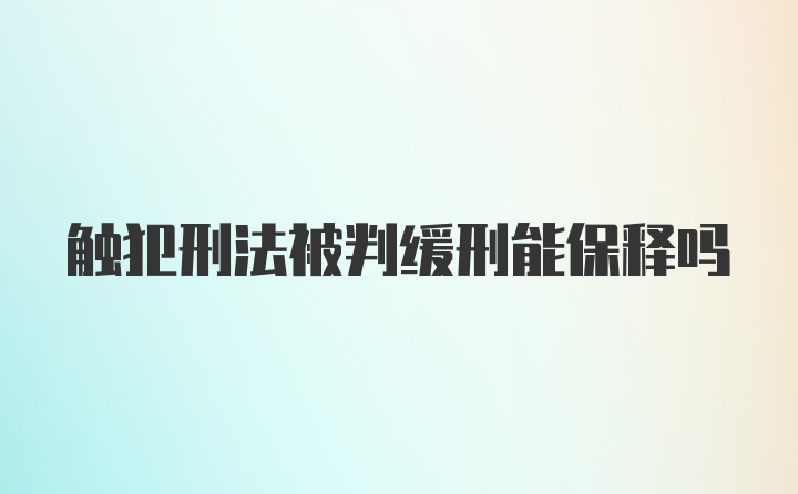 触犯刑法被判缓刑能保释吗