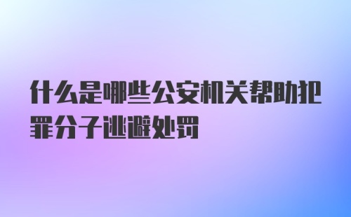 什么是哪些公安机关帮助犯罪分子逃避处罚