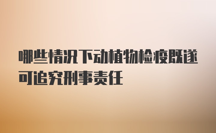 哪些情况下动植物检疫既遂可追究刑事责任