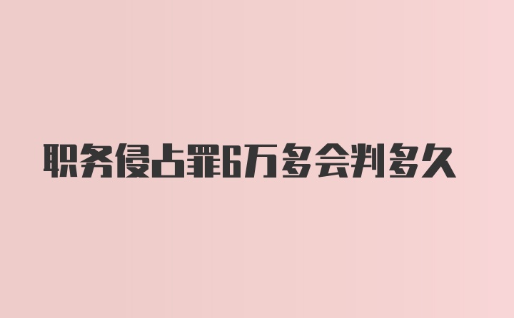 职务侵占罪6万多会判多久