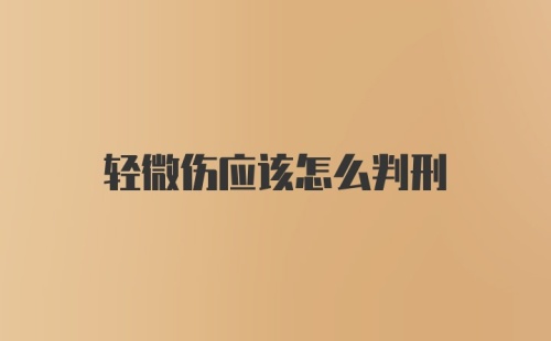 轻微伤应该怎么判刑