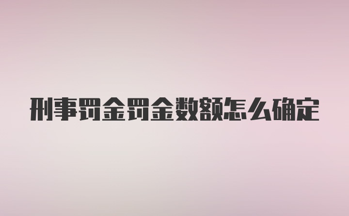 刑事罚金罚金数额怎么确定