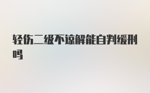 轻伤二级不谅解能自判缓刑吗