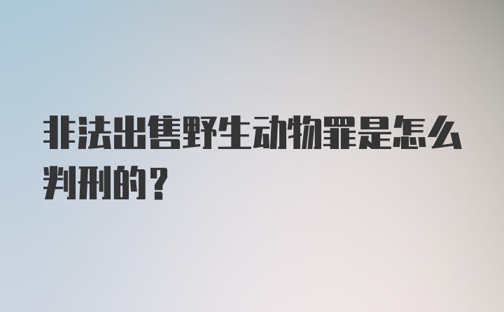 非法出售野生动物罪是怎么判刑的？