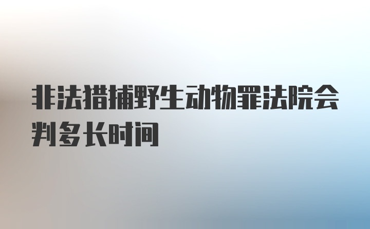 非法猎捕野生动物罪法院会判多长时间