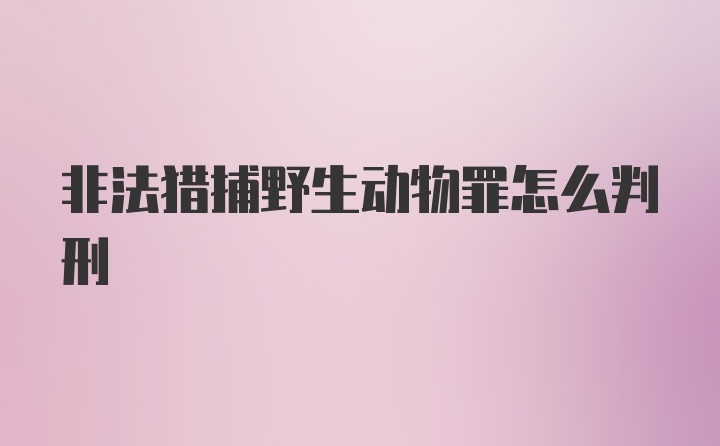 非法猎捕野生动物罪怎么判刑