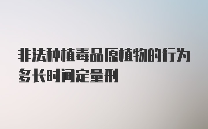 非法种植毒品原植物的行为多长时间定量刑