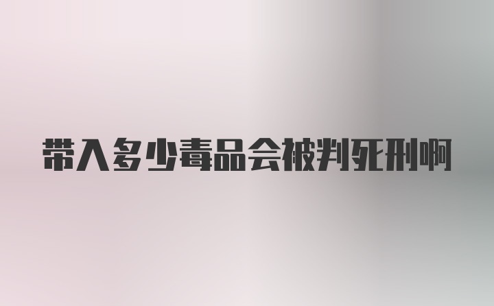 带入多少毒品会被判死刑啊