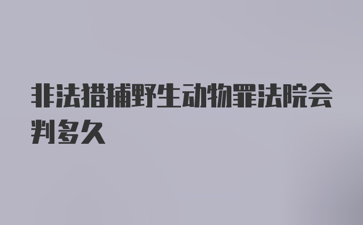 非法猎捕野生动物罪法院会判多久