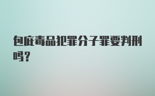 包庇毒品犯罪分子罪要判刑吗？