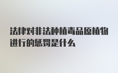 法律对非法种植毒品原植物进行的惩罚是什么