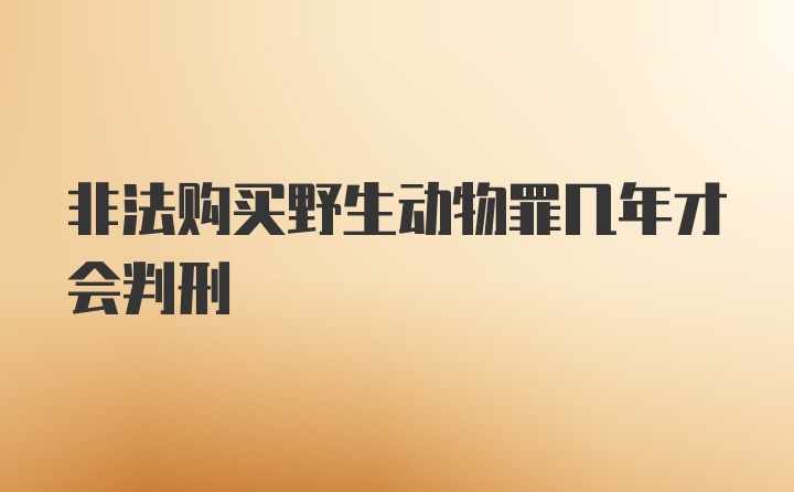 非法购买野生动物罪几年才会判刑