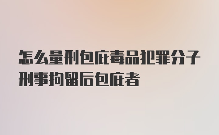 怎么量刑包庇毒品犯罪分子刑事拘留后包庇者