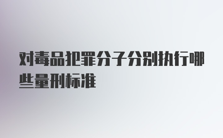 对毒品犯罪分子分别执行哪些量刑标准