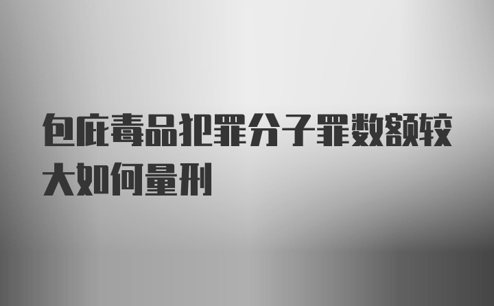 包庇毒品犯罪分子罪数额较大如何量刑