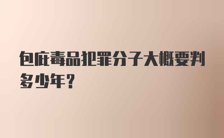 包庇毒品犯罪分子大概要判多少年？