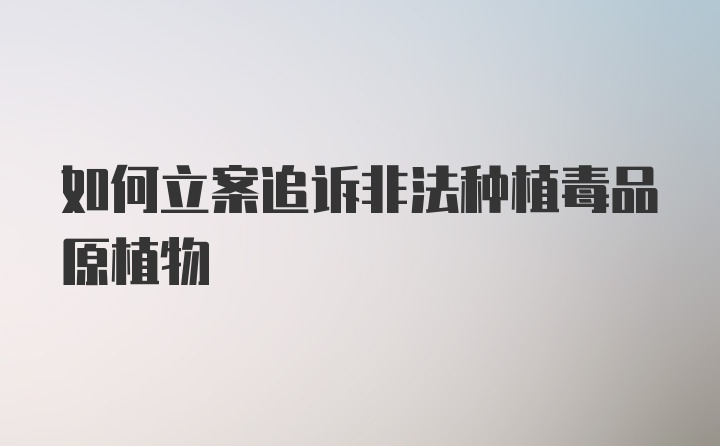 如何立案追诉非法种植毒品原植物