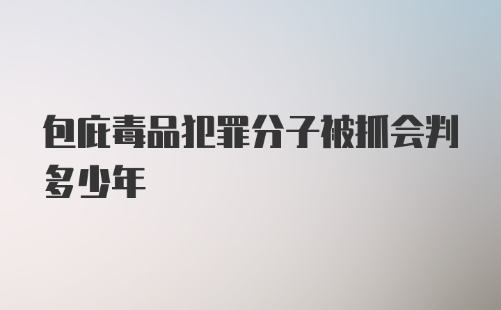 包庇毒品犯罪分子被抓会判多少年